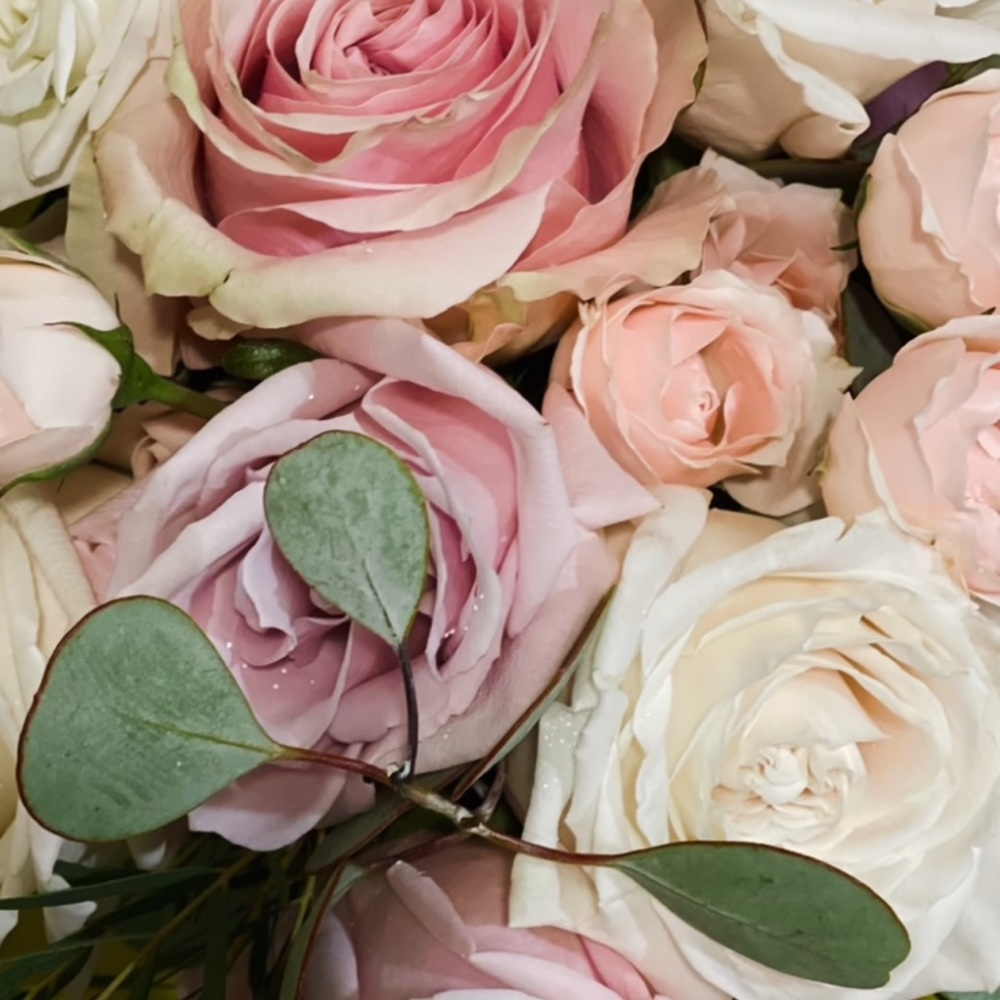 Meet your Posher, Olivia